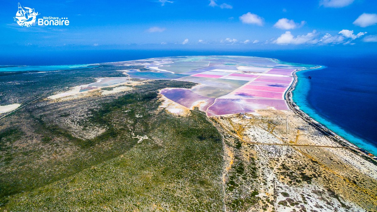 DI9lGjJUEAA96hp DI9lGjJUEAA96hp