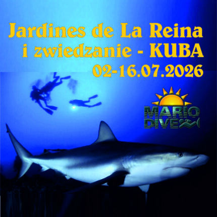 Kuba - rekiny z Jardines de La Reina '26