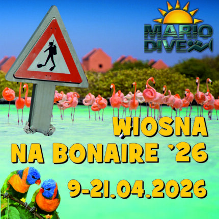 Wiosna na karaibskim Bonaire '26