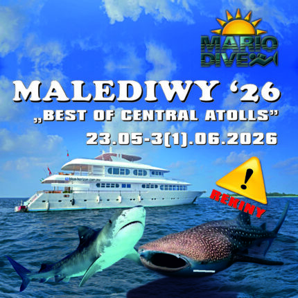 Malediwy - safari nurkowe '26