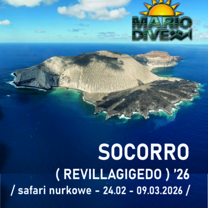 Socorro ( Revillagigedo ) '26